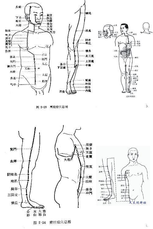 脾胃经在哪里_360问答