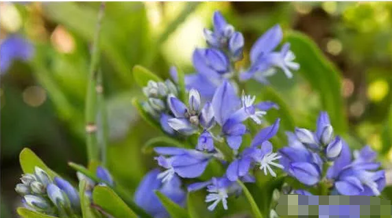 给孩子取名别再翻字典了,不妨翻翻中药名,好听