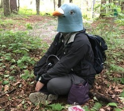 日本学者装“鸟人”试图和鸟交朋友：直接被骂退
