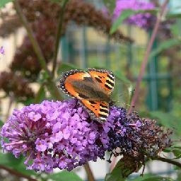 厂长是我表哥,搞笑卖皮鞋