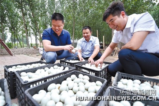 图为工作人员正在检查鸭蛋品质.记者 赵亮 摄