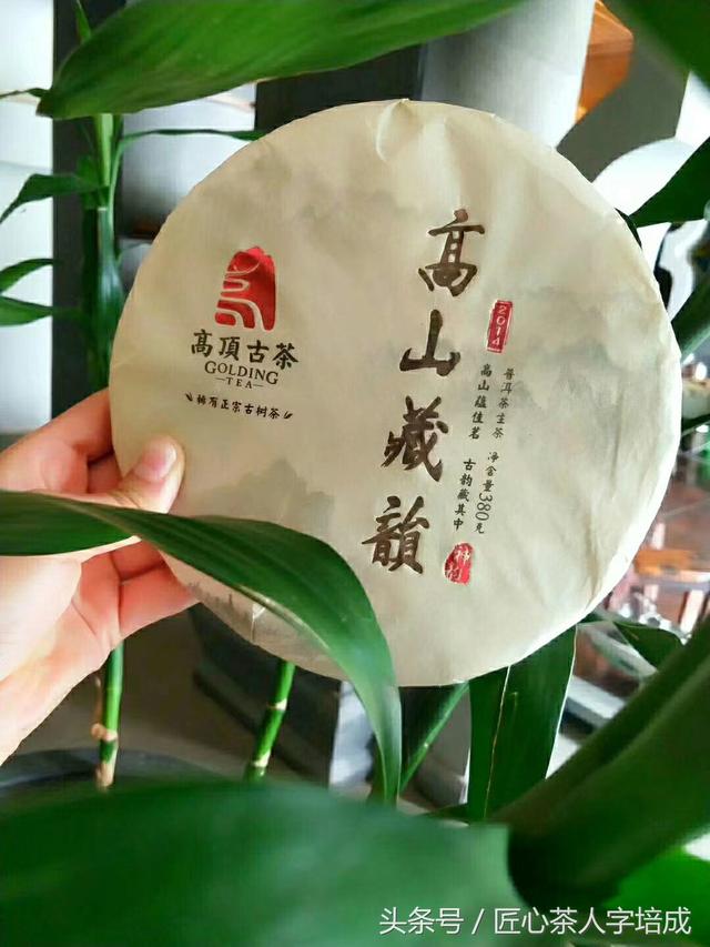 收藏貼:24款名山頭古樹開湯評測