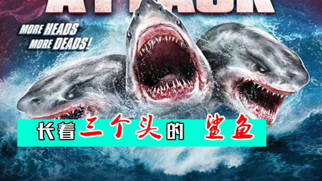 《夺命三头鲨》仗着三个脑袋的鲨鱼暴饮暴食,竟然自己把自己咬死了