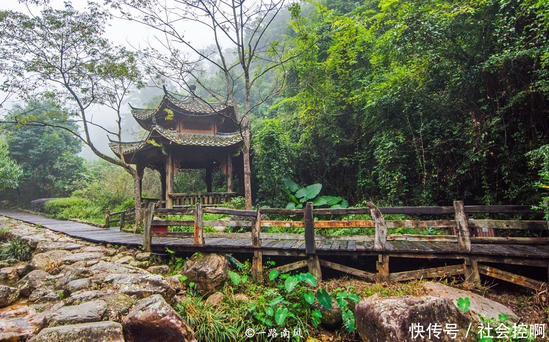 t013825661f903eef8e.jpg?size=1080x674