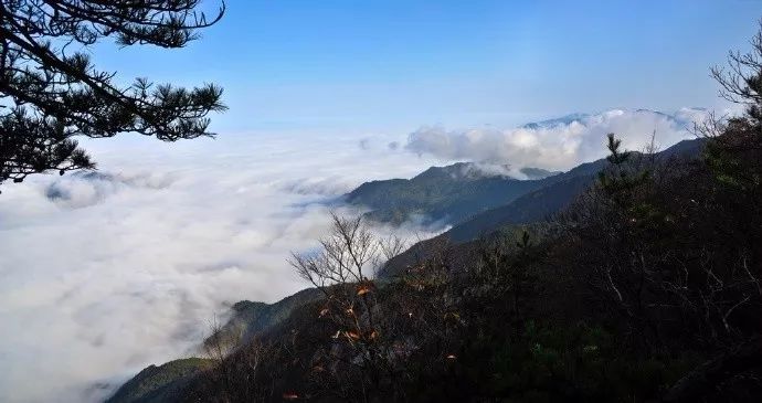 湖北又拿下一个世界级称号!这个地方再也藏不住了!