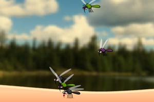 打死蚊子,打死蚊子小游戏,360小游戏-360游戏