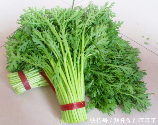 孕妇能吃茼蒿菜吗今天终于有答案了,爱吃茼蒿