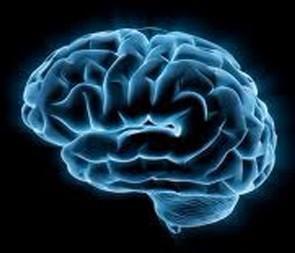 日本干细胞技术 从根源上治疗小脑萎缩!