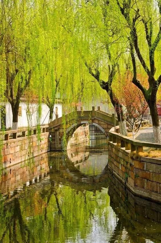 清明小长假,我想去这9个绝美的地方踏青!