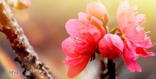 太行山大峡谷:风平浪静涛阵阵,夜阑人静泉叮咚