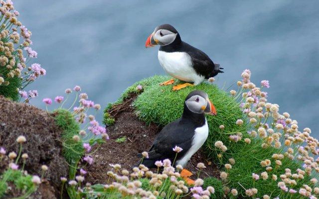 偏远无人岛招管理员:年薪12万提供夫妻住宿