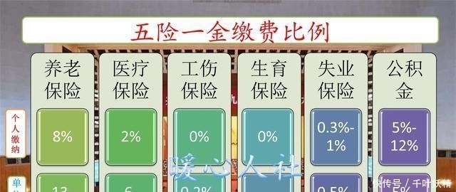 五险一金必须交吗