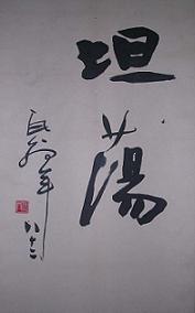 坦荡