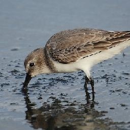 电影贱客:交换妻子? 两对夫妻同时出轨对方爱