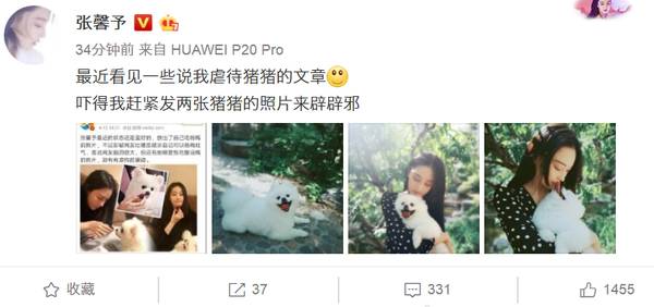 张馨予拿杨梅逗狗被痛骂,吓得她赶紧晒出这张照片
