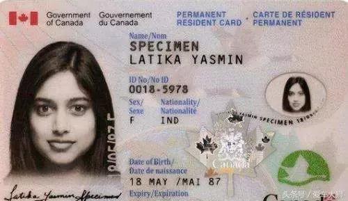 全球最漂亮驾照居然在中国?,日本驾照很像中国