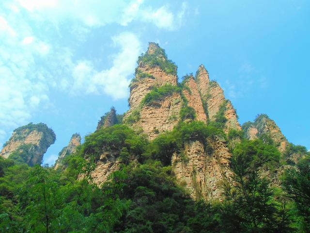 在张家界国家森林公园 我们遇到了这群小可爱