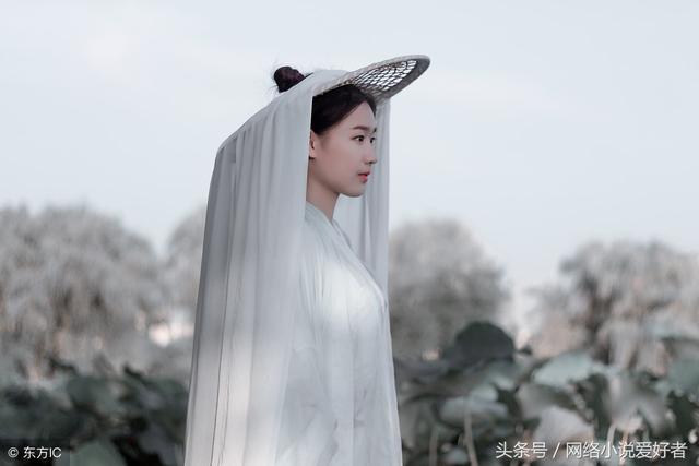 古典仙侠小说《飞剑问道》-作者我吃西红柿