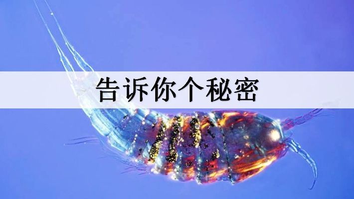 魚缸水泵配件名稱（魚缸水泵配件名稱大全）