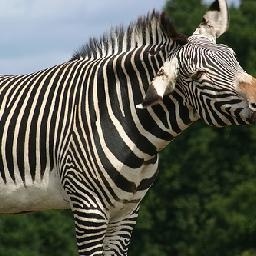 抖音又带火这首刀郎的《西海情歌》,比体面唱