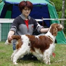 doki机位 全球独家 本次放送上期排名点赞前三