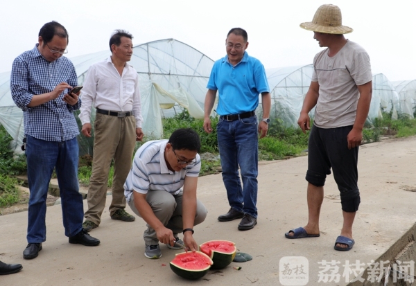 神了!西瓜上能承受140斤的成年人 不破不裂毫发无损