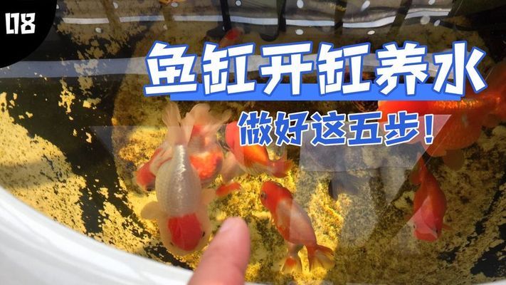 魚缸溫度顯示器的調(diào)節(jié)方法：魚缸溫度顯示器的調(diào)節(jié)方法及注意事項