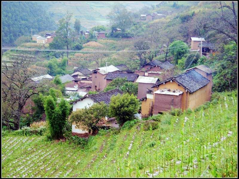 村情概况 利片村隶属于牛街彝族乡团结村委会,属于山区.