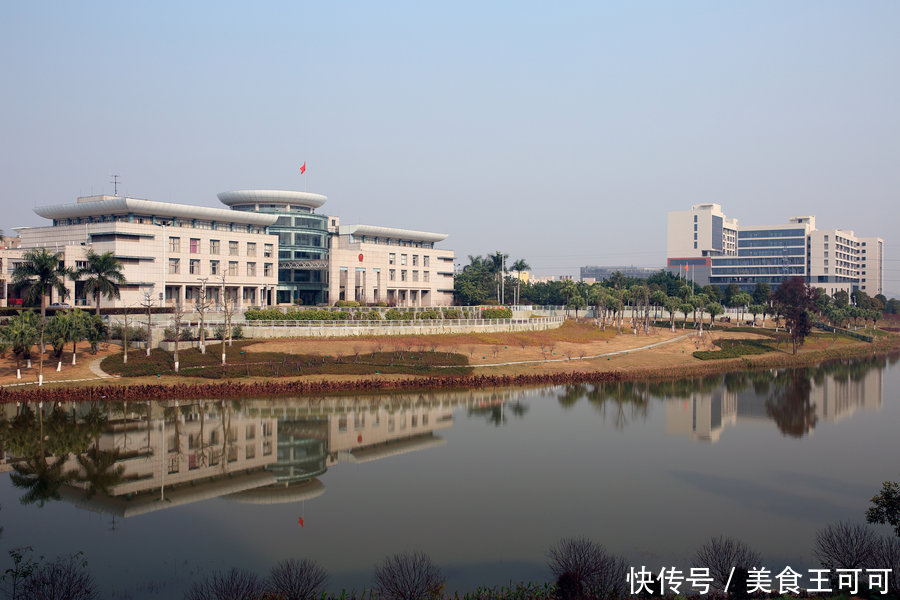 广东佛山狮山镇经济总量_佛山狮山镇地图(2)