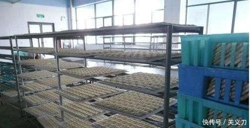 农村开豆制品加工厂