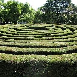 国民大会台湾综艺