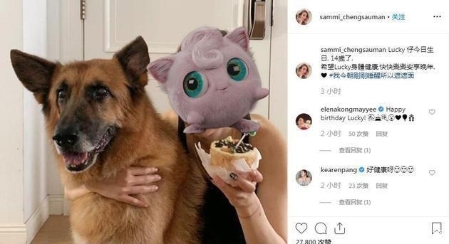 文晒健身照什么情况,许志安对郑秀文好冷淡是