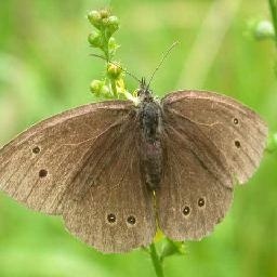 90后姐姐和00后弟弟健身房 大跳广场舞Timbe