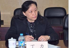 丁力-北京市纪委驻市委宣传部纪检组长