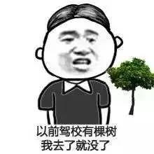 40岁女子考过科目三抱考试车痛哭 驾照考到怀