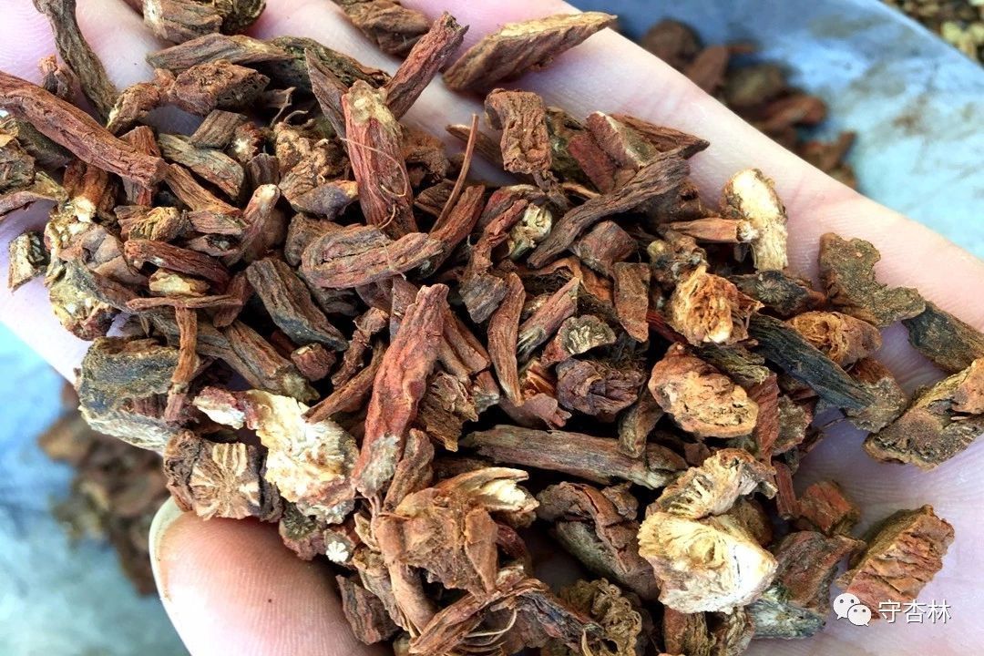 过敏性鼻炎反复很痛苦,三伏是个好时机,教你一