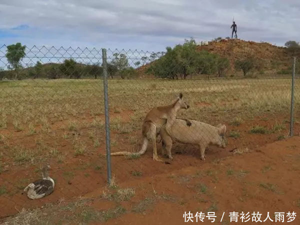 老公不信你看，我真的和闺蜜在一起逛街