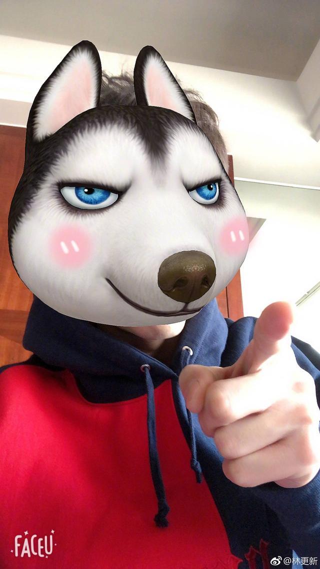 情人节王思聪泡夜店约网红,林更新却在拼模型