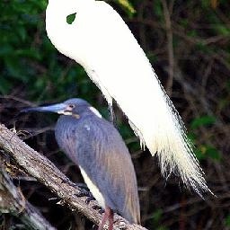 超级飞侠变形警车珀利 猪猪侠小伶玩具儿童故事