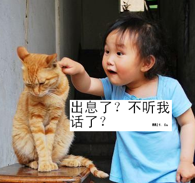 【每日吐槽】台风来袭 你的体重能抗住几级风