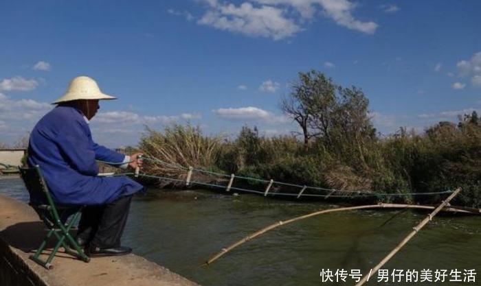 农村大爷用这种方法钓鱼，显示了智慧，也体现了坚守