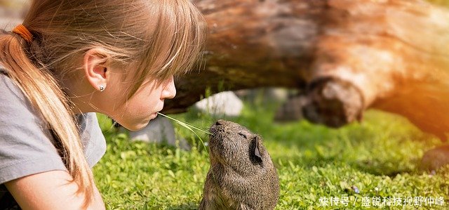 婴儿出行系列五一假期4天,带孩子出去旅游准备