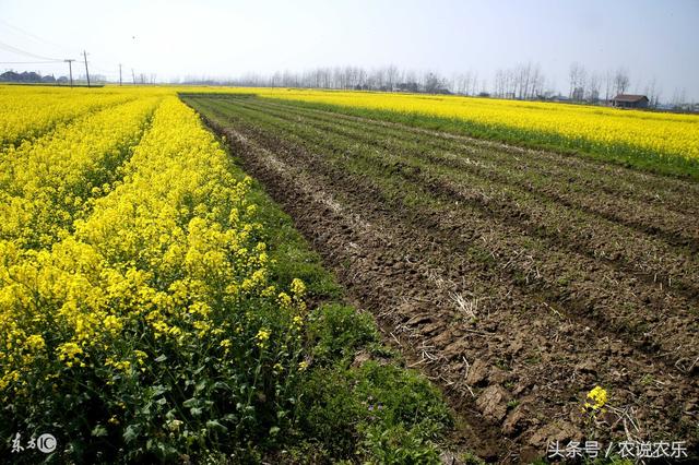 农民朋友注意了!2018年农村土地最新政策,提前