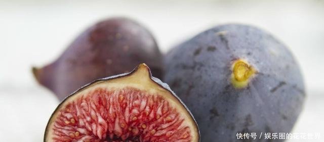 无花果的种植与管理技术视频 t014abc07073d65a4cd.jpg