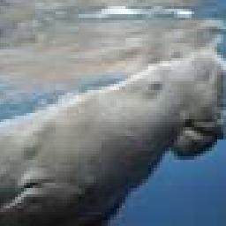 宝宝巴士烘焙屋第1期,奇妙美食餐厅