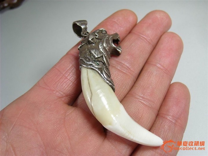 狼牙价格