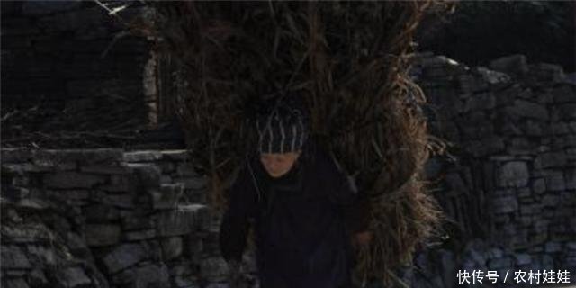 农民不用交钱也能够领取退休金,现在已经试点