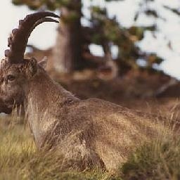 财务函数PV FV PMT