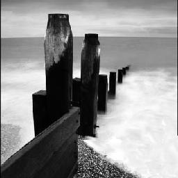 最近超火的舞蹈,火爆了的蒙古舞蹈《爷爷奶奶