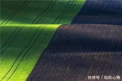 做人淡而久香,不争,不俗